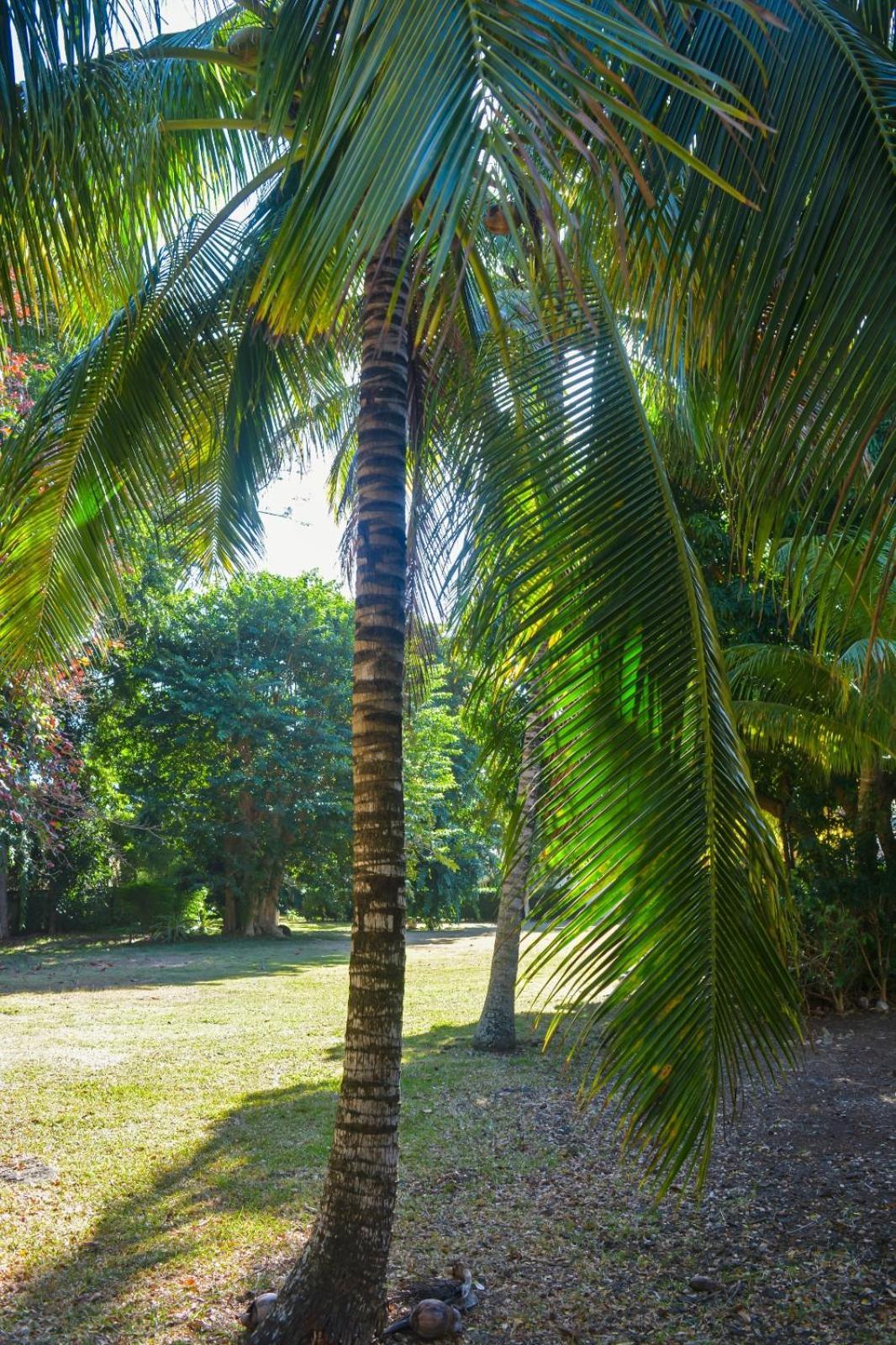 Wolmar Flic En Flac 3 Bedroom Beach Villa Esterno foto